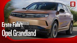 Opel Grandland | Elektrisches SUV | Erste Fahrt mit Jan Horn