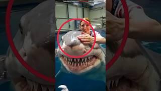 Girl Plays with Her Pet Shark?!  || #viral #shorts  @UnicFactx