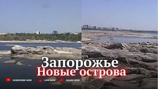 Новые острова. Голодная рыба. Пожары. Дно покрыто странной зеленью. 18 авг.24г. Запорожье.