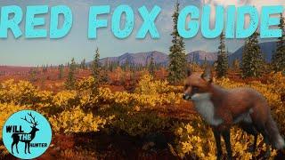 Yukon Valley Red Fox Guide + A Diamond Red Fox! TheHunter Call Of The Wild