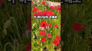 말씀찬양 딤후 1:12 이 부족한 나를 부르시고 지켜 주신 하나님의 은혜