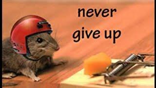  NEVER GIVE UP | BEST 10 HOUR MOTIVATION VIDEO | FOR SUCCESS WHILE YOU SLEEP |