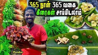 20 ரூபாய் முதல் நஞ்சில்லா கீரைகள் தரும் சென்னையின் கீரை மனிதர் | Pesticide Free greens | MSF