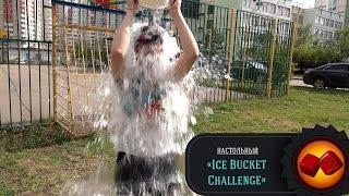 Настольный Ice Bucket Challenge (Алексей Зуйков, "Два в Кубе")!
