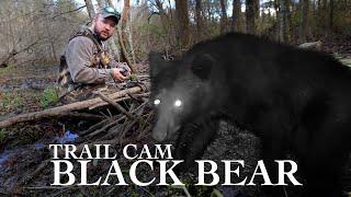 Trail Camera captures bear, beavers, ducks & more! | Trail Cam Tuesday