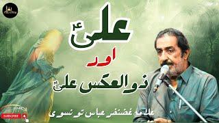 Ali Kitne Hen | Ali aur ZulAks Ali | Allama Ghazanfar Abbas Tonsvi