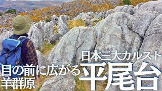 日本三大カルストの１つ、平尾台でゆっくり登山してきた！ ヘタレ夫婦登山Vol.123