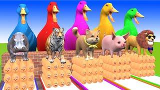 5 Giant Duck, Monkey, Piglet, cow, dog, cat, chicken, lion, Sheep, Transfiguration funny animal 2024