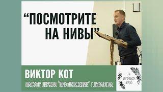 Посмотрите на нивы. Виктор Кот (14.09.19 г.)