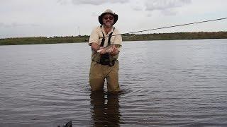 First Shad on the Fly of the Season