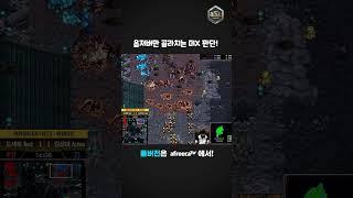 옵저버만 골라치는 미X 판단! #shorts #ASL #아프리카이스포츠