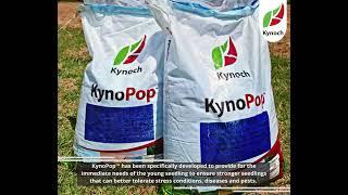 KynoPop fertiliser from Kynoch Fertilizer promotes early root development ADVERT