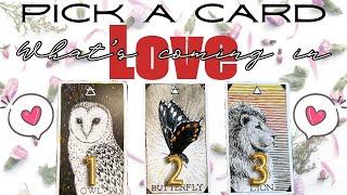 What's Coming In With Love Super Accurate Reading ️Pick A Card️