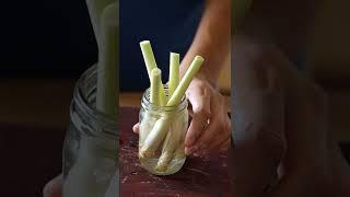 How to use and grow lemongrass