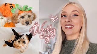 a deep chat & puppy’s 1st halloween!  | WEEKLY VLOG