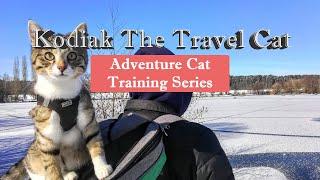 Adventure Cat Training Series with Kodiak The Travel Cat