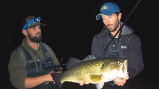 The Most Underrated Largemouth Bass Fishery