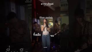 ดาวหางฮัลเลย์ cover by โบว์ เมลดา