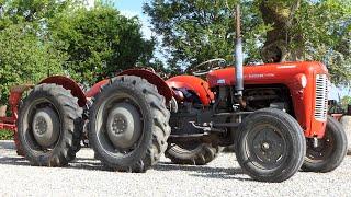 Special Built Massey Ferguson 35 "Double Butt" | Small Tractor with Great Power