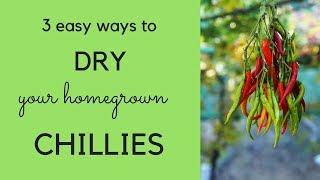 How to dry chillies - three easy ways