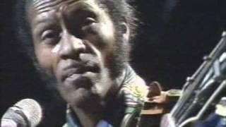 CHUCK BERRY - the blues