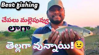 #చలికాలం చేపలు పడ్డాయి! | #6hooks GuchaGal fishing#winter session️ new fish bite  woking