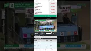 Grayhound Races How To Win Grayhound Race Betpro Exchange Online Betting Tips And Tricks By