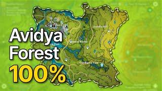 Avidya Forest 100% exploration guide 2024