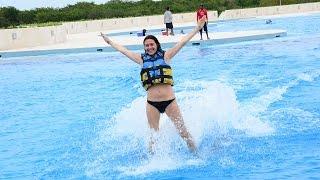 Dolphin Royal | Punta Cana Tours