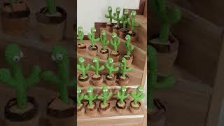 Have you participated in such a concert? pbooo dancing cactus.