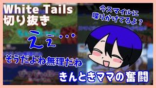 大忙しなきんときママと、普通に喋ってるきりやん【非公式ワイテルズ切り抜き】#ワイテルズ