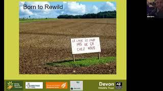 Bovey Tracey Local Group Talk - Rewilding City Parks