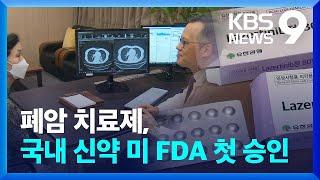 국산 폐암 치료제 美 FDA 승인…글로벌 진출 [9시 뉴스] / KBS  2024.08.25.