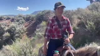 Rising K Ranch Horseback Riding