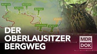 Wild und grenzenlos – Der Oberlausitzer Bergweg | MDR DOK