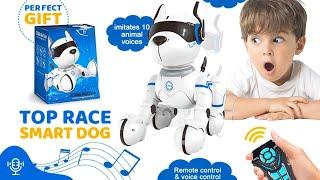 Aokid Toy Remote Control Robot Dog, RC Voice Control Dog Toy Electronic Pets Dancing