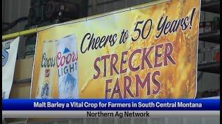 Malt Barley a Vital Crop for Farmers in South Central Montana