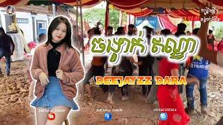 ចង្វាក់​ឥណ្ឌា​ថ្មី️Nai nai rEmix កន្រ្ទឹម DeEJaYzz DaRa