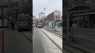 Vienna tram 2 Schwedenplatz stop #tram #viennatram #vienna #austria #viennacity #viennatoday