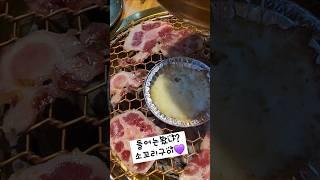 소꼬리구이 완전 별미 또먹고싶다 #광주맛집 #고기맛집 #고기 #상무지구 #광갈집 #맛집 #소꼬리구이 #소꼬리 #먹방 #맛집추천