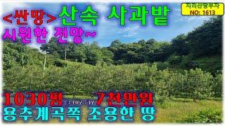 [급매물]용추계곡 인근 마을뒤 산속 조용한 곳 싼땅! 함양군 사과밭 매매/함양부동산,함양군부동산,안의면부동산,함양사과밭매물,함양토지매매,함양군땅매매,거창사과밭매매,거창군사과밭