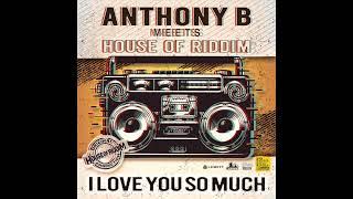 Anthony B meets House of Riddim "love you so much"