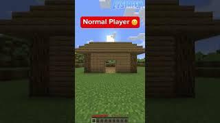 Normal Minecraft Player vs Lazy