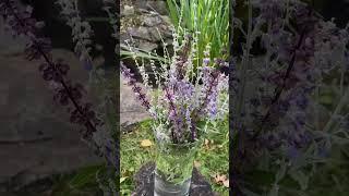 Weekly Bouquet: Thai Basil & Russian Sage #gardening #kurtshomliv #foodies #viralreels #flowers