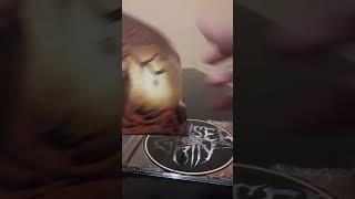 Chelsea Grin Desolation Of Eden Unboxing