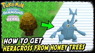 How to Get Heracross Pokemon from Honey Trees in Pokemon Brilliant Diamond & Shining Pearl