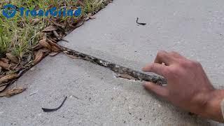 Grinding the Crack in Concrete With Diamond Cup Wheel