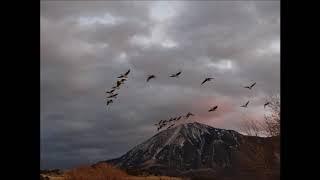 Life on the RGS,  A song by Dave Milton
