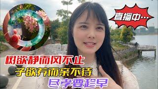 翡翠 珠寶直播 ：翡翠 直播 |6月23日 翡翠 | 玉 翡翠戒面 | 翡翠 玉手镯 | 翡翠 玉石 | 珠寶 翡翠 | 美玉 翡翠戒面 #翡翠直播 #翡翠 #珠宝 #珠寶 #翡翠珠寶 #Shorts