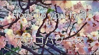 アサコバグース/How do you feel お花見ver #asakobagus #japaneserockband